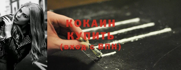 дживик Белокуриха