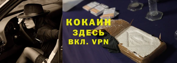 дживик Белокуриха