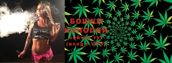 дживик Белокуриха
