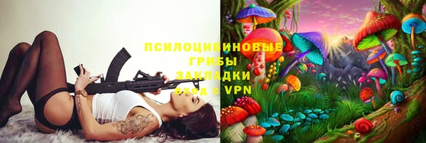 дживик Белокуриха