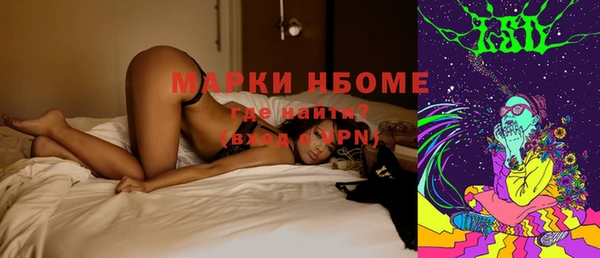 дживик Белокуриха