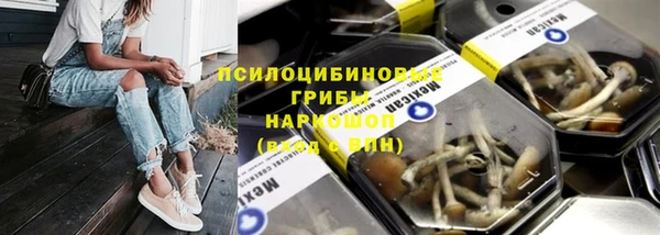 дживик Белокуриха