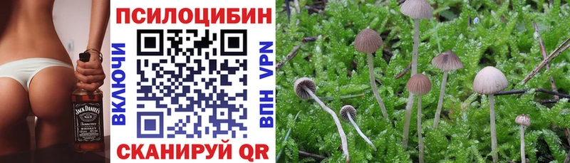 Псилоцибиновые грибы GOLDEN TEACHER  Славгород 
